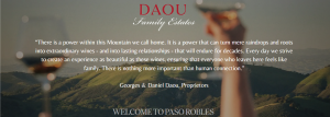 best-affordable-usa-DAOU-wine-in-singapore